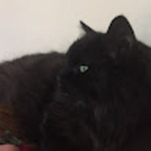 Meet your Posher, Nancy